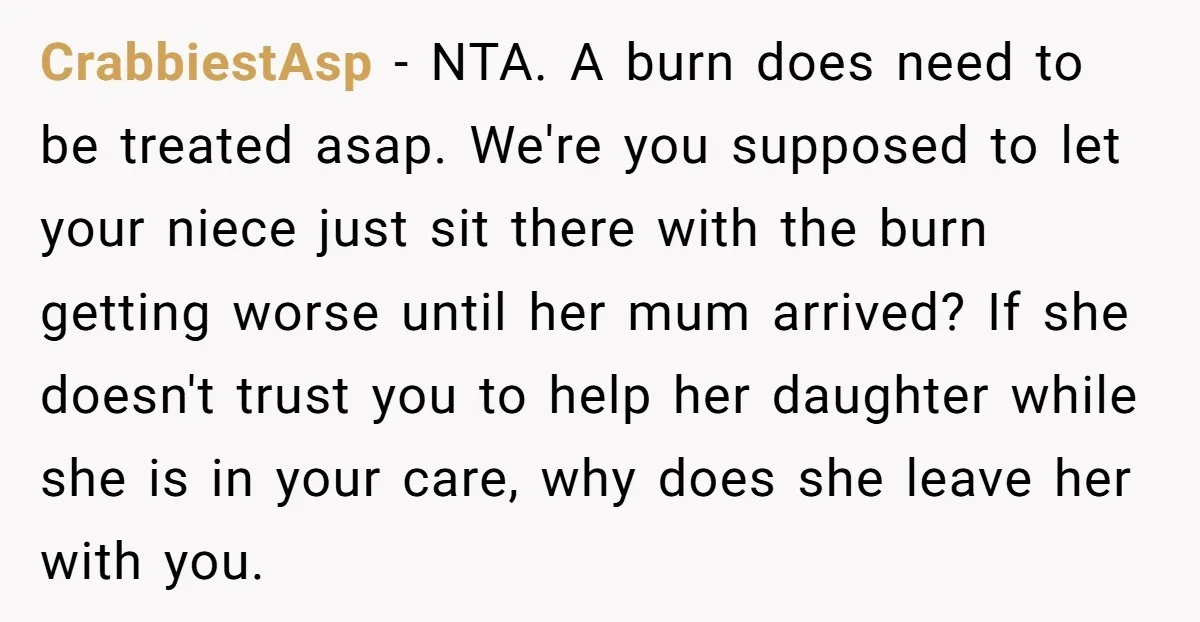 CrabbiestAsp - NTA. A burn does need to be treated asap. We're you supposed to let your niece just sit there with the burn getting worse until her mum arrived?...