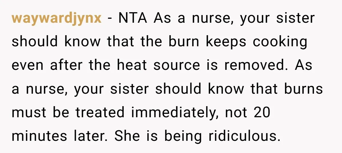 waywardjynx - NTA As a nurse, your sister should know that the burn keeps cooking even after the heat source is removed. As a nurse, your sister should know that...