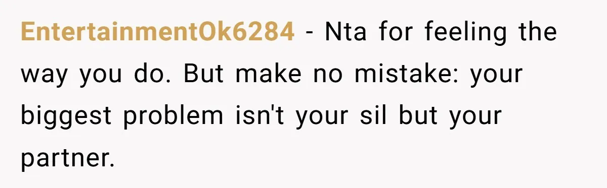 EntertainmentOk6284 - Nta for feeling the way you do. But make no mistake: your biggest problem isn't your sil but your partner.