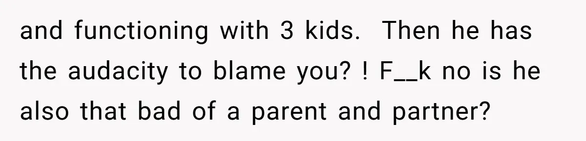 and functioning with 3 kids. Then he has the audacity to blame you? ! F__k no is he also that bad of a parent and partner?