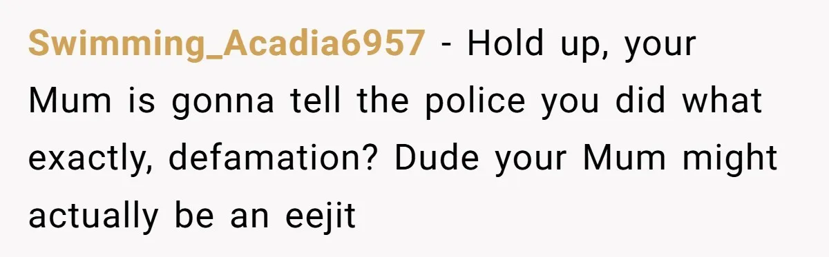 Swimming_Acadia6957 - Hold up, your Mum is gonna tell the police you did what exactly, defamation? Dude your Mum might actually be an eejit