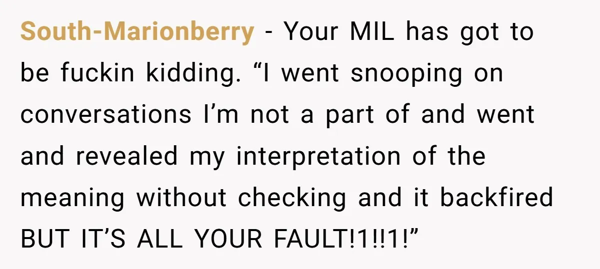 South-Marionberry - Your MIL has got to be fuckin kidding. “I went snooping on conversations I’m not a part of and went and revealed my interpretation of the meaning without...