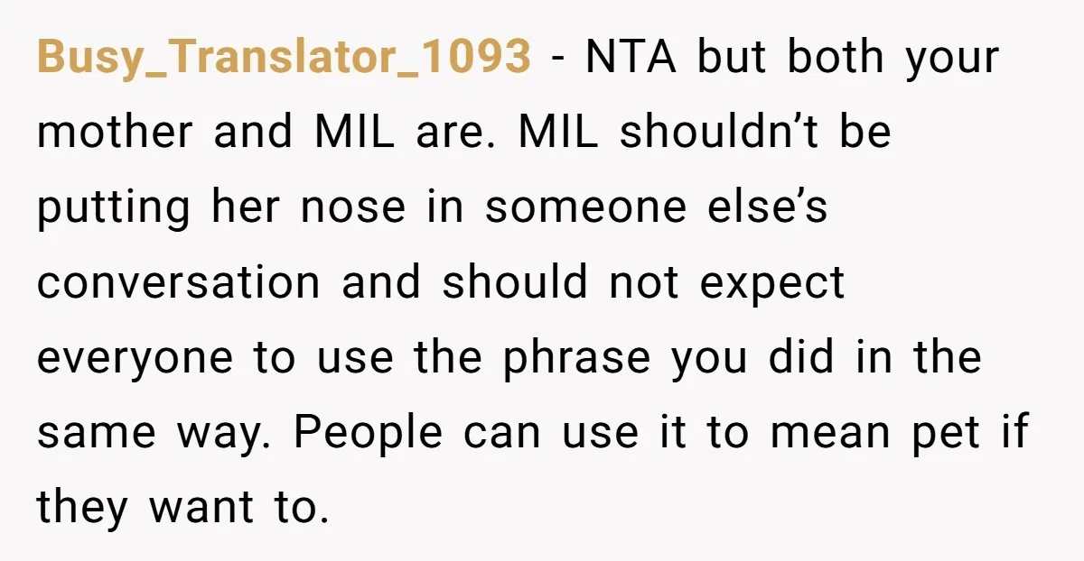 Busy_Translator_1093 - NTA but both your mother and MIL are. MIL shouldn’t be putting her nose in someone else’s conversation and should not expect everyone to use the phrase you...