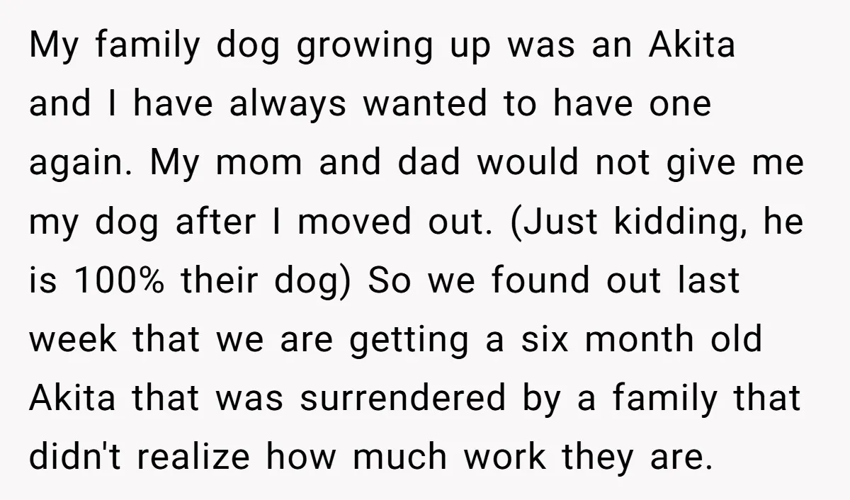 My family dog growing up was an Akita and I have always wanted to have one again. My mom and dad would not give me my dog after I moved...