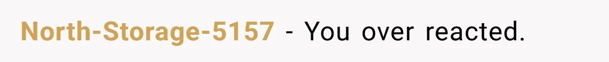 North-Storage-5157 − You over reacted.