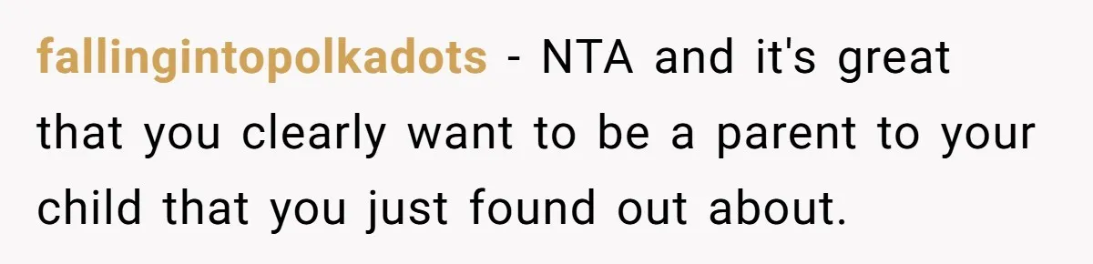 fallingintopolkadots − NTA and it's great that you clearly want to be a parent to your child that you just found out about.
