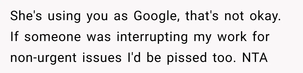 She's using you as Google, that's not okay. If someone was interrupting my work for non-urgent issues I'd be pissed too. NTA