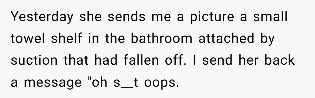 Yesterday she sends me a picture a small towel shelf in the bathroom attached by suction that had fallen off. I send her back a message "oh s__t oops.
