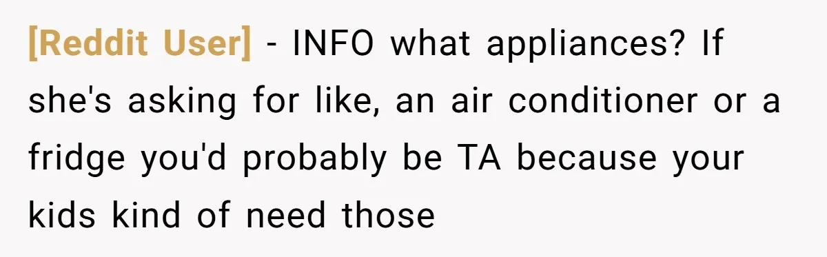 [Reddit User] − INFO what appliances? If she's asking for like, an air conditioner or a fridge you'd probably be TA because your kids kind of need those