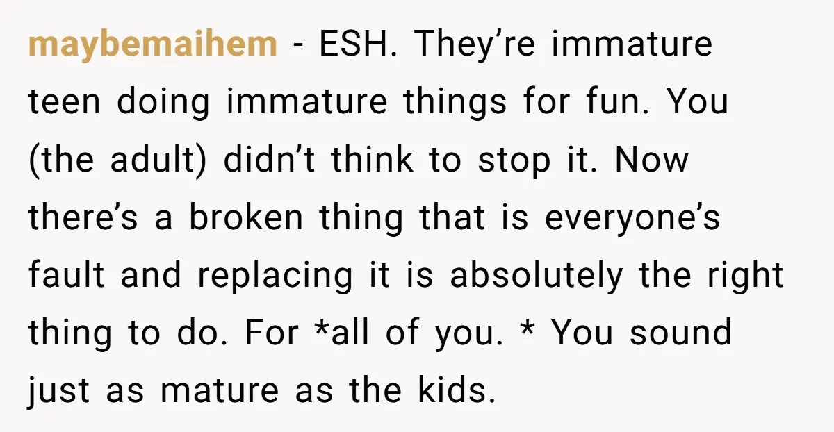 maybemaihem − ESH. They’re immature teen doing immature things for fun. You (the adult) didn’t think to stop it. Now there’s a broken thing that is everyone’s fault and replacing...