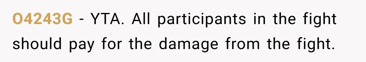 O4243G − YTA. All participants in the fight should pay for the damage from the fight.