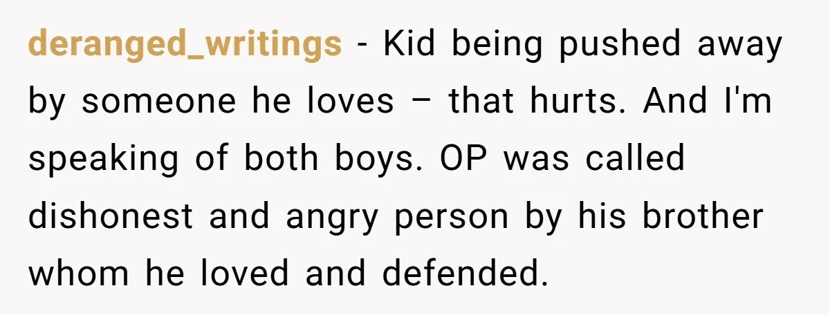 deranged_writings - Kid being pushed away by someone he loves – that hurts. And I'm speaking of both boys. OP was called dishonest and angry person by his brother whom...