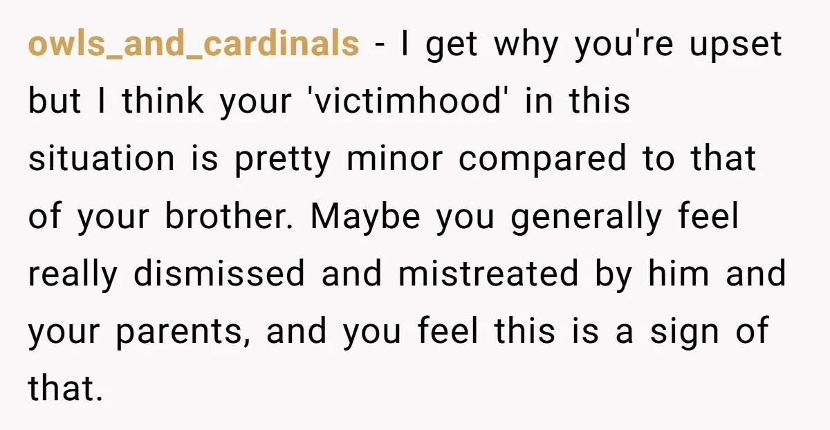 owls_and_cardinals - I get why you're upset but I think your 'victimhood' in this situation is pretty minor compared to that of your brother. Maybe you generally feel really dismissed...