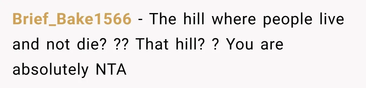 Brief_Bake1566 − The hill where people live and not die? ?? That hill? ? You are absolutely NTA