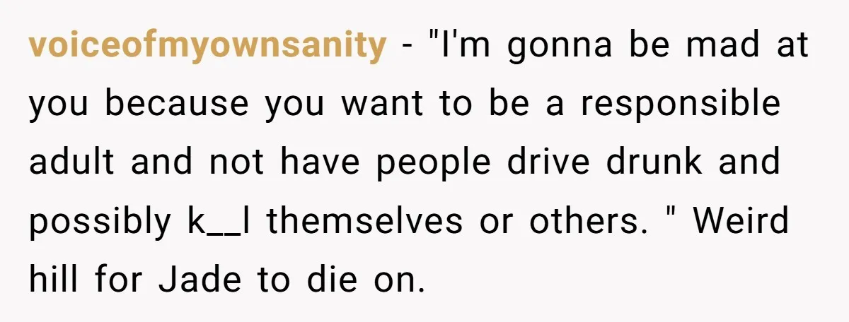 voiceofmyownsanity − "I'm gonna be mad at you because you want to be a responsible adult and not have people drive drunk and possibly k__l themselves or others. " Weird...