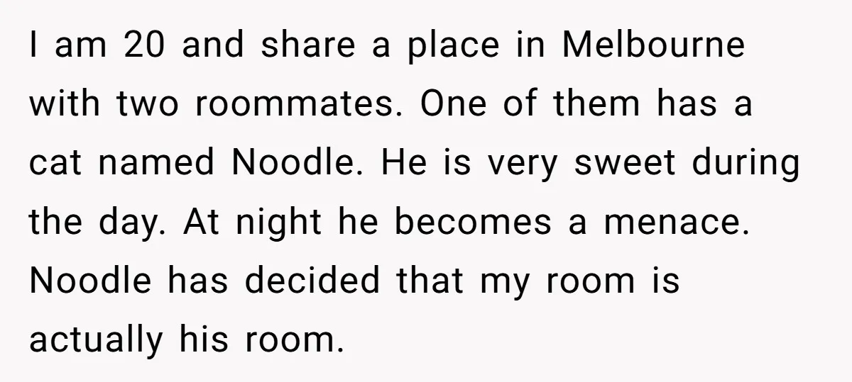 I am 20 and share a place in Melbourne with two roommates. One of them has a cat named Noodle. He is very sweet during the day. At night he...