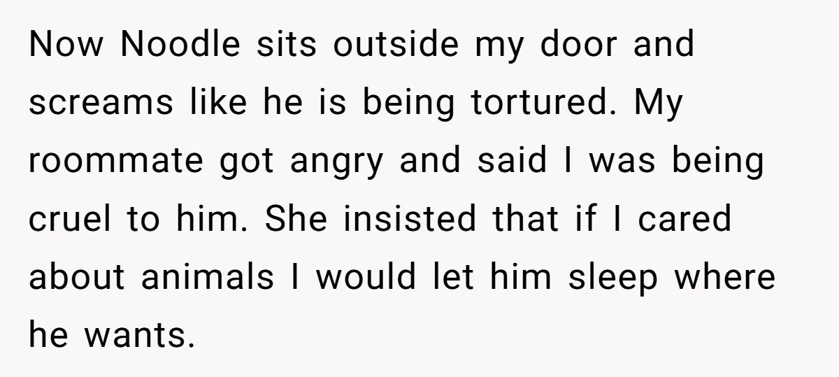 Now Noodle sits outside my door and screams like he is being tortured. My roommate got angry and said I was being cruel to him. She insisted that if I...