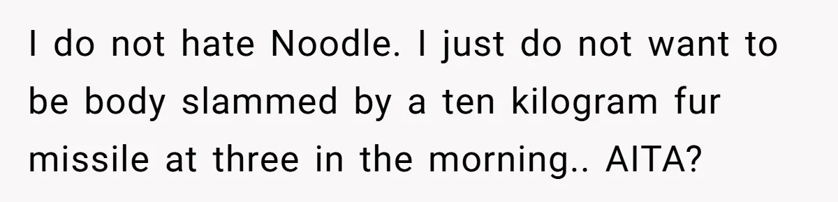 I do not hate Noodle. I just do not want to be body slammed by a ten kilogram fur missile at three in the morning.. AITA?