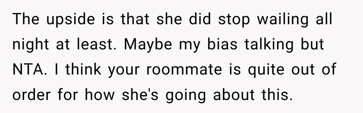The upside is that she did stop wailing all night at least. Maybe my bias talking but NTA. I think your roommate is quite out of order for how she's...