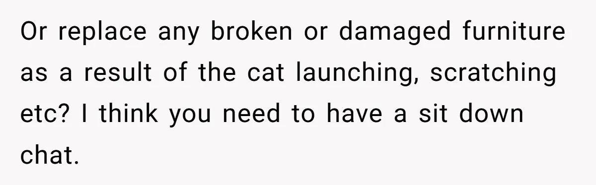 Or replace any broken or damaged furniture as a result of the cat launching, scratching etc? I think you need to have a sit down chat.