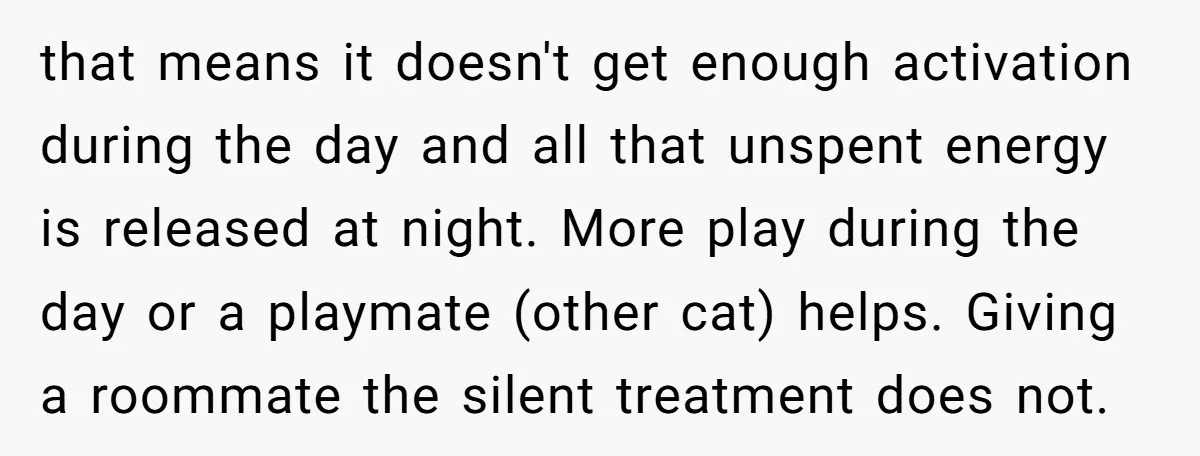 that means it doesn't get enough activation during the day and all that unspent energy is released at night. More play during the day or a playmate (other cat) helps....