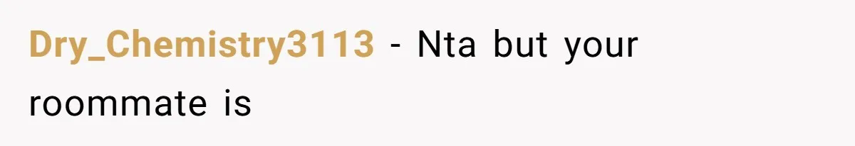 Dry_Chemistry3113 − Nta but your roommate is