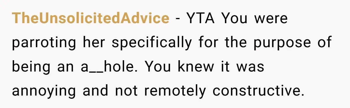 TheUnsolicitedAdvice − YTA You were parroting her specifically for the purpose of being an a__hole. You knew it was annoying and not remotely constructive.