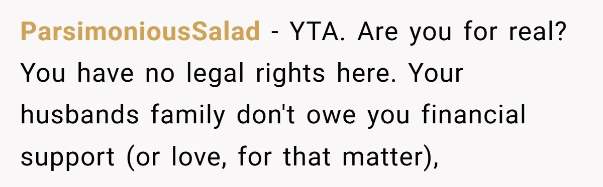 ParsimoniousSalad − YTA. Are you for real? You have no legal rights here. Your husbands family don't owe you financial support (or love, for that matter),