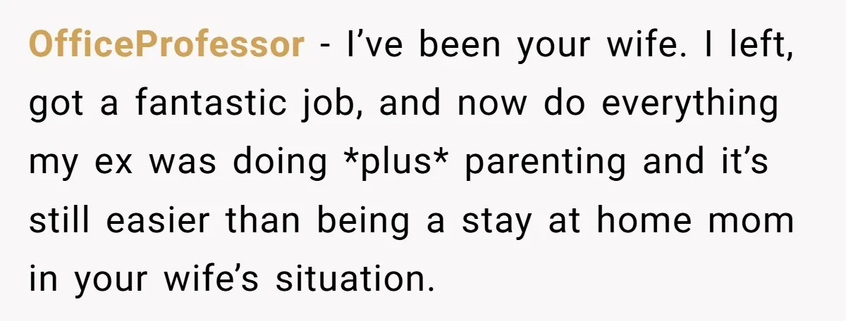 OfficeProfessor − I’ve been your wife. I left, got a fantastic job, and now do everything my ex was doing *plus* parenting and it’s still easier than being a stay...
