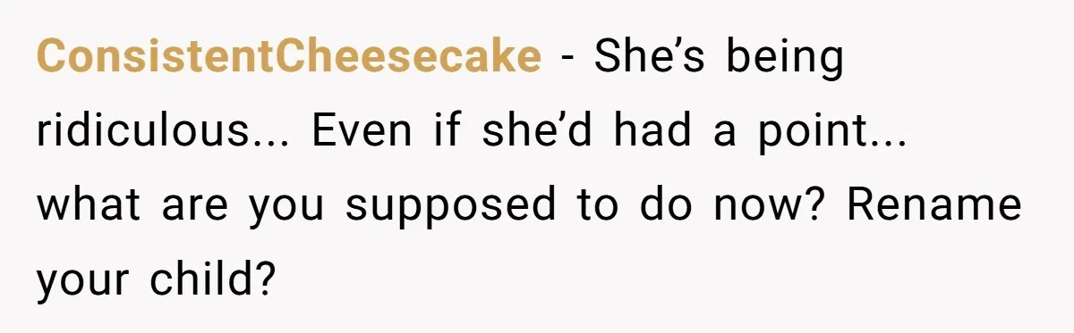 ConsistentCheesecake - She’s being ridiculous... Even if she’d had a point... what are you supposed to do now? Rename your child?