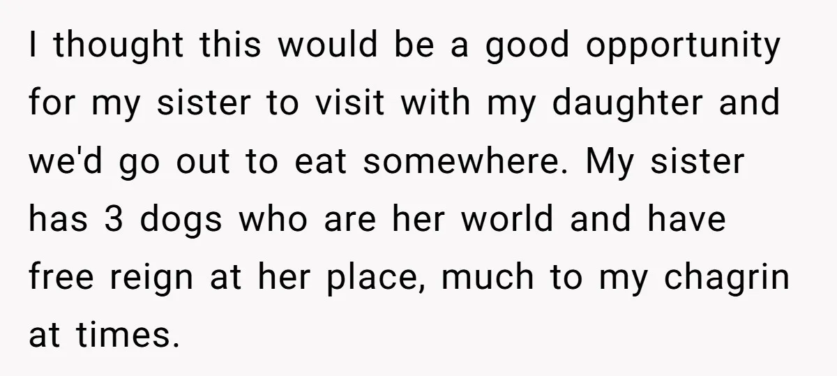 I thought this would be a good opportunity for my sister to visit with my daughter and we'd go out to eat somewhere. My sister has 3 dogs who are...