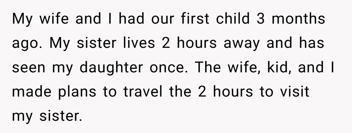 My wife and I had our first child 3 months ago. My sister lives 2 hours away and has seen my daughter once. The wife, kid, and I made plans...