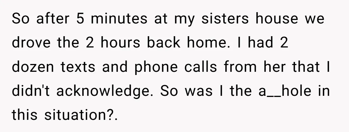 So after 5 minutes at my sisters house we drove the 2 hours back home. I had 2 dozen texts and phone calls from her that I didn't acknowledge. So...