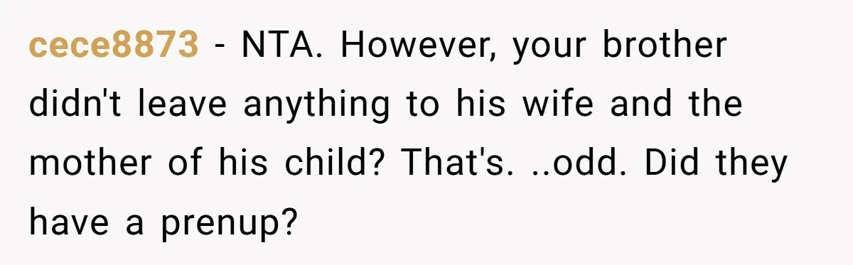cece8873 − NTA. However, your brother didn't leave anything to his wife and the mother of his child? That's. ..odd. Did they have a prenup?