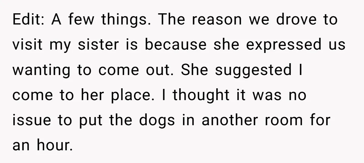 Edit: A few things. The reason we drove to visit my sister is because she expressed us wanting to come out. She suggested I come to her place. I thought...