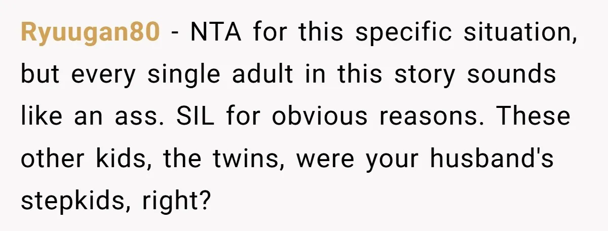 Ryuugan80 − NTA for this specific situation, but every single adult in this story sounds like an ass. SIL for obvious reasons. These other kids, the twins, were your husband's...