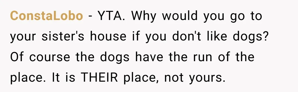ConstaLobo − YTA. Why would you go to your sister's house if you don't like dogs? Of course the dogs have the run of the place. It is THEIR place,...