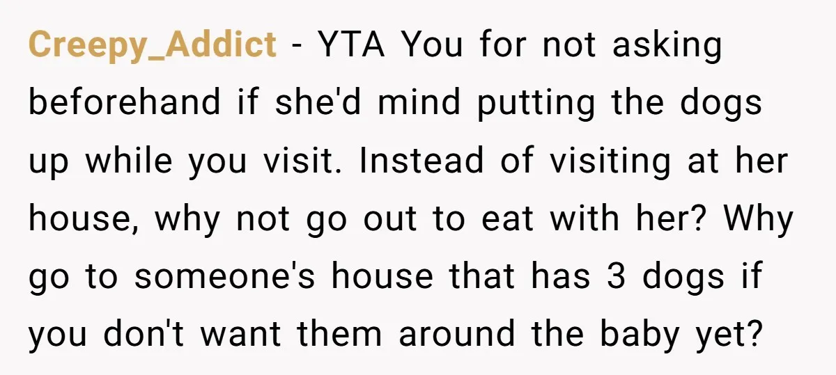 Creepy_Addict − YTA You for not asking beforehand if she'd mind putting the dogs up while you visit. Instead of visiting at her house, why not go out to eat...