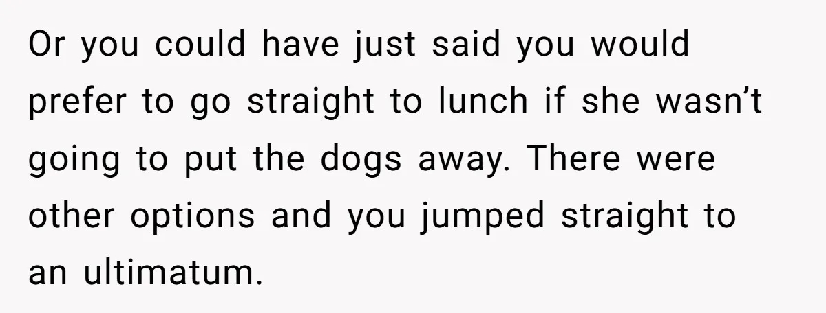 Or you could have just said you would prefer to go straight to lunch if she wasn’t going to put the dogs away. There were other options and you jumped...