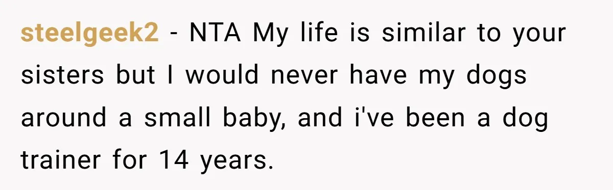 steelgeek2 − NTA My life is similar to your sisters but I would never have my dogs around a small baby, and i've been a dog trainer for 14 years.