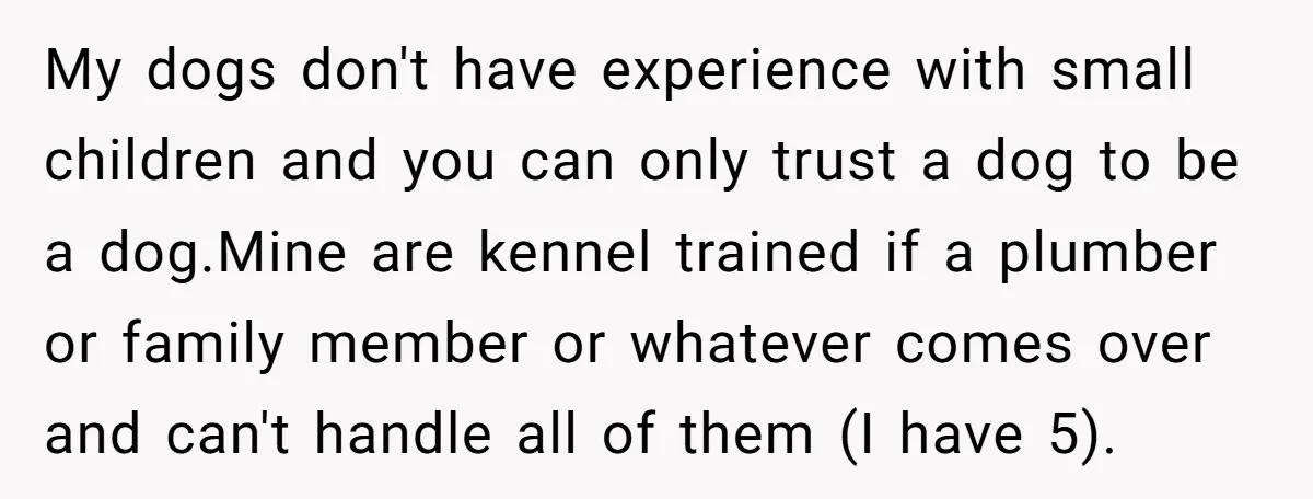 My dogs don't have experience with small children and you can only trust a dog to be a dog.Mine are kennel trained if a plumber or family member or whatever...