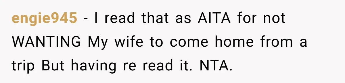 engie945 − I read that as AITA for not WANTING My wife to come home from a trip But having re read it. NTA.