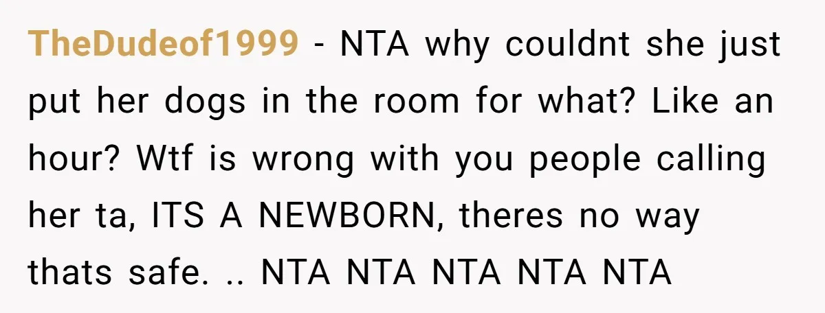 TheDudeof1999 − NTA why couldnt she just put her dogs in the room for what? Like an hour? Wtf is wrong with you people calling her ta, ITS A NEWBORN,...