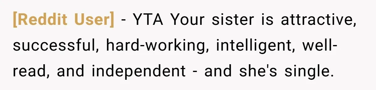 [Reddit User] − YTA Your sister is attractive, successful, hard-working, intelligent, well-read, and independent - and she's single.