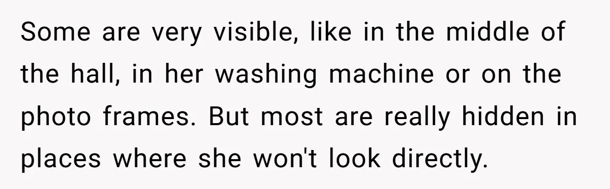 Some are very visible, like in the middle of the hall, in her washing machine or on the photo frames. But most are really hidden in places where she won't...