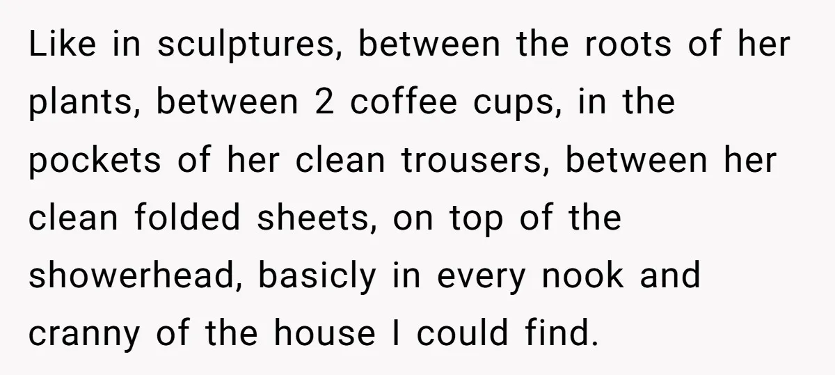 Like in sculptures, between the roots of her plants, between 2 coffee cups, in the pockets of her clean trousers, between her clean folded sheets, on top of the showerhead,...