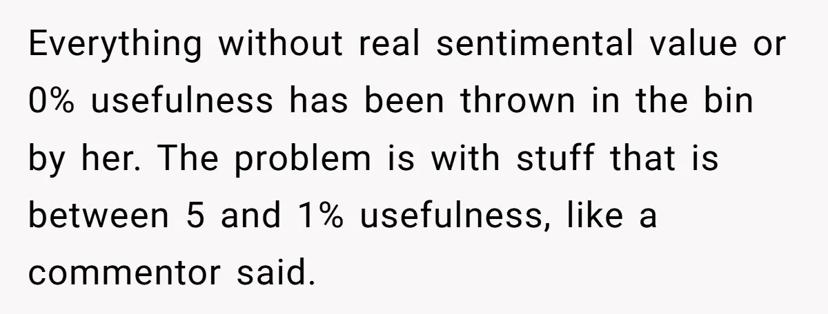 Everything without real sentimental value or 0% usefulness has been thrown in the bin by her. The problem is with stuff that is between 5 and 1% usefulness, like a...