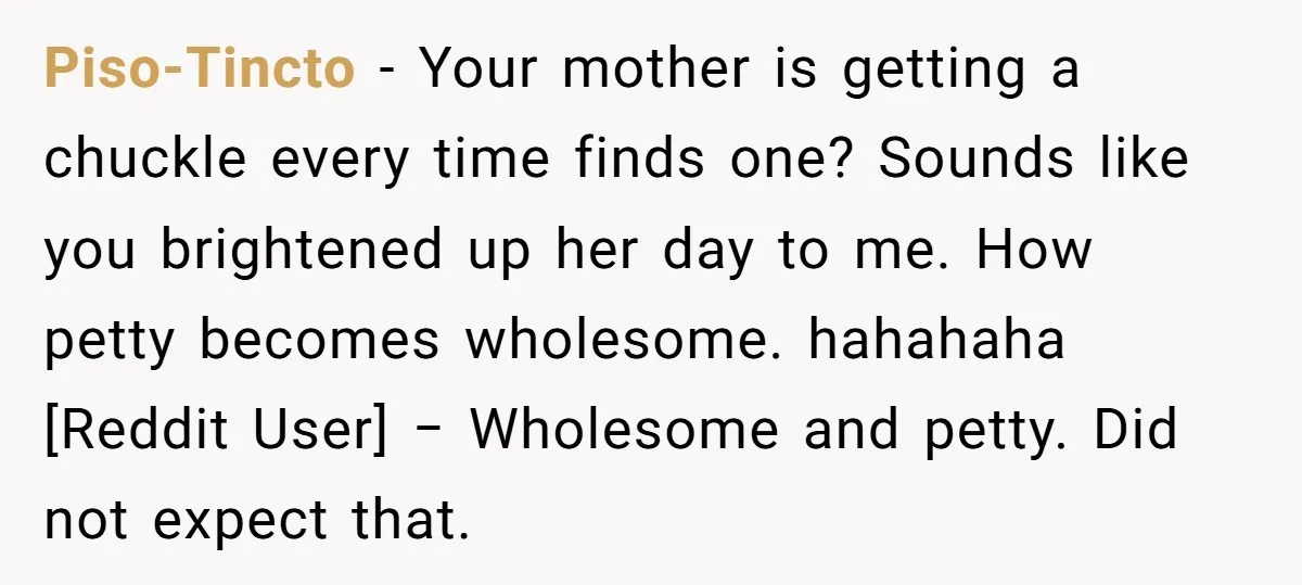 Piso-Tincto − Your mother is getting a chuckle every time finds one? Sounds like you brightened up her day to me. How petty becomes wholesome. hahahaha [Reddit User] − Wholesome...