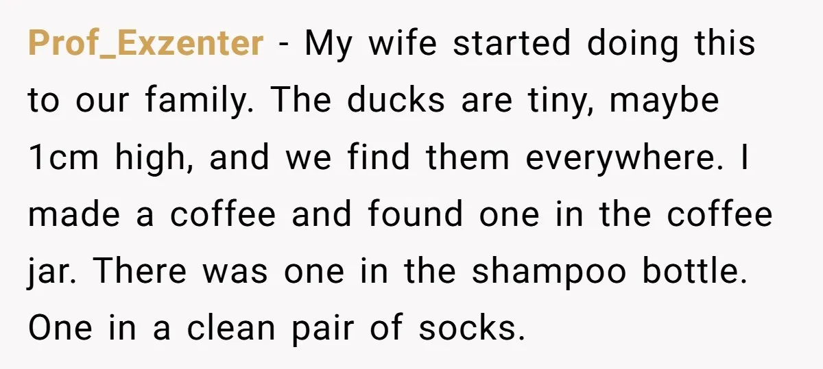 Prof_Exzenter − My wife started doing this to our family. The ducks are tiny, maybe 1cm high, and we find them everywhere. I made a coffee and found one in...