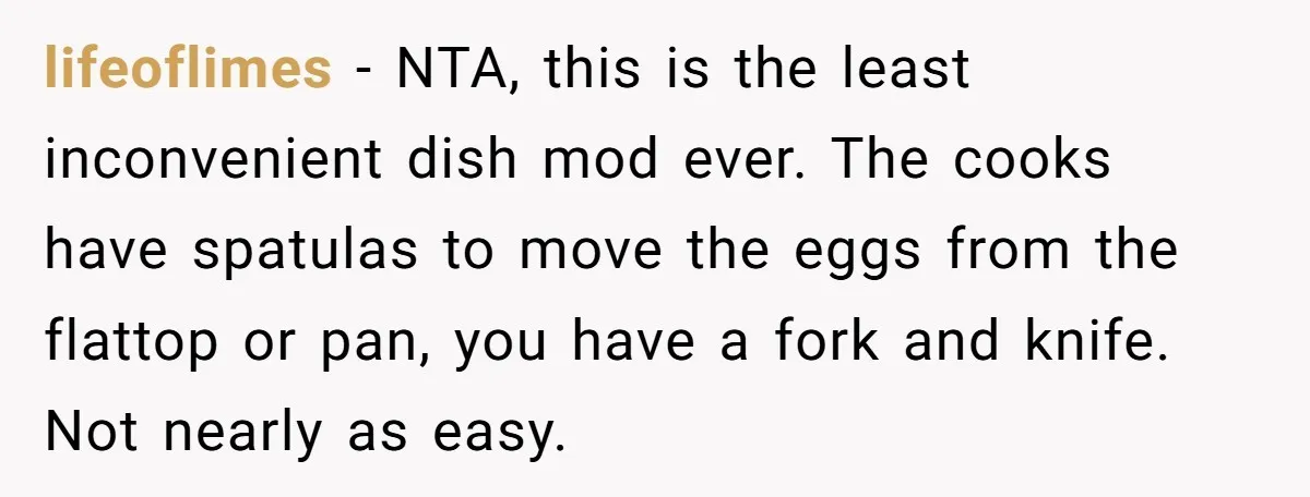 lifeoflimes − NTA, this is the least inconvenient dish mod ever. The cooks have spatulas to move the eggs from the flattop or pan, you have a fork and knife....